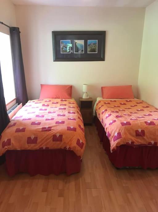 Castlegregory-Seaside 2 Bedroomed Cottage 外观 照片