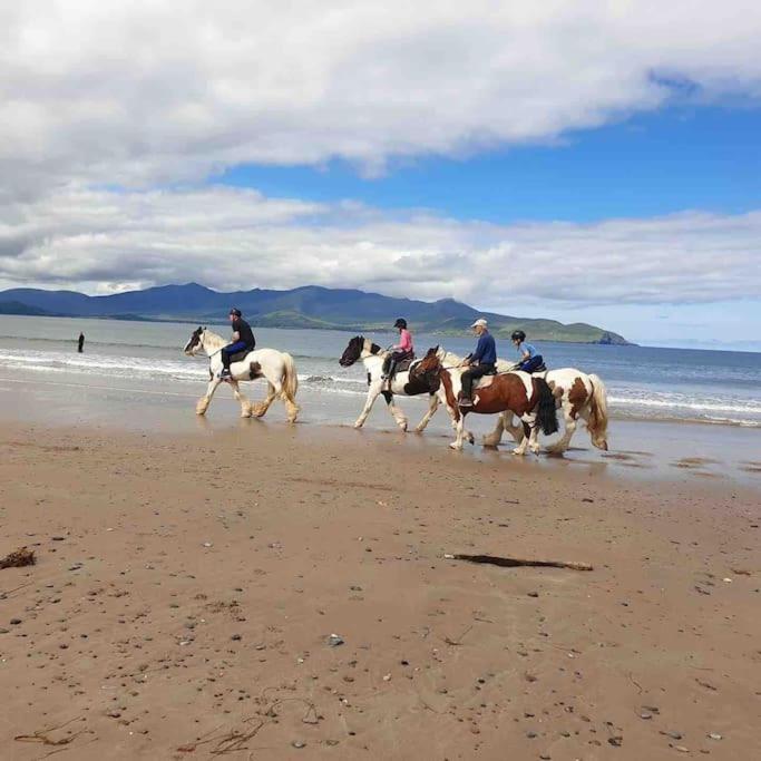 Castlegregory-Seaside 2 Bedroomed Cottage 外观 照片