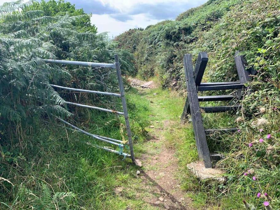 Castlegregory-Seaside 2 Bedroomed Cottage 外观 照片