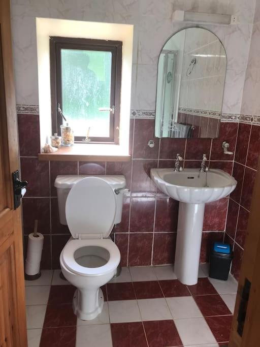 Castlegregory-Seaside 2 Bedroomed Cottage 外观 照片